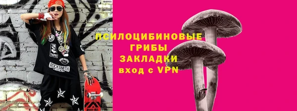 прущие грибы Каменка