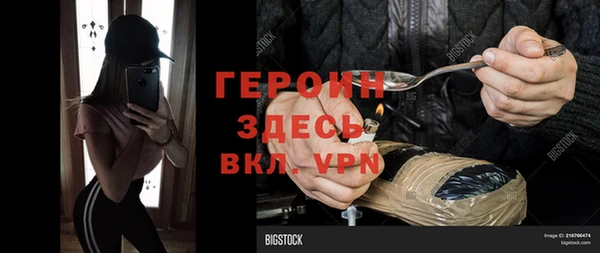 прущие грибы Каменка