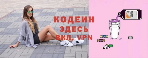 прущие грибы Каменка