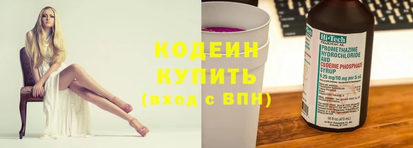 прущие грибы Каменка