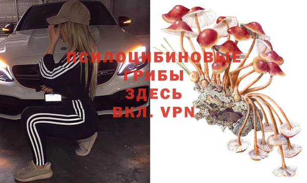 прущие грибы Каменка