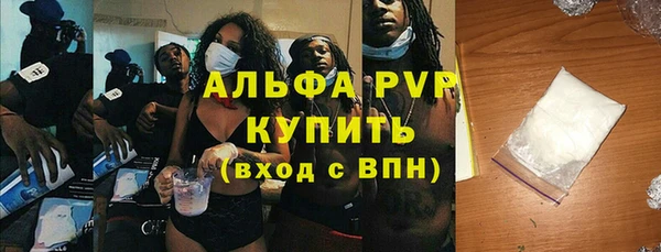 прущие грибы Каменка