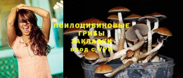 мяу мяу кристалл Каменногорск