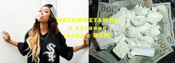 прущие грибы Каменка