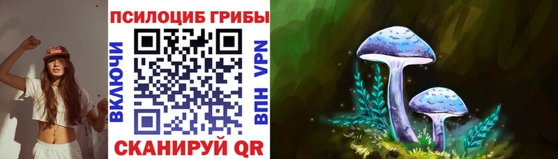 Псилоцибиновые грибы Cubensis  Купить  Темников 