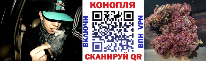 Купить  Темников  Марихуана AK-47 